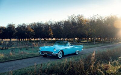 Ford Thunderbird (2. Gen)